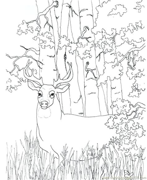 Free Hunting Coloring Pages At Getcolorings Free Printable