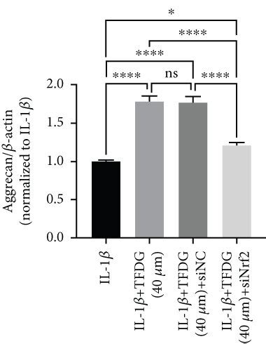 The Blockade Of Nrf Ho Signaling Partly Reverses The Protective