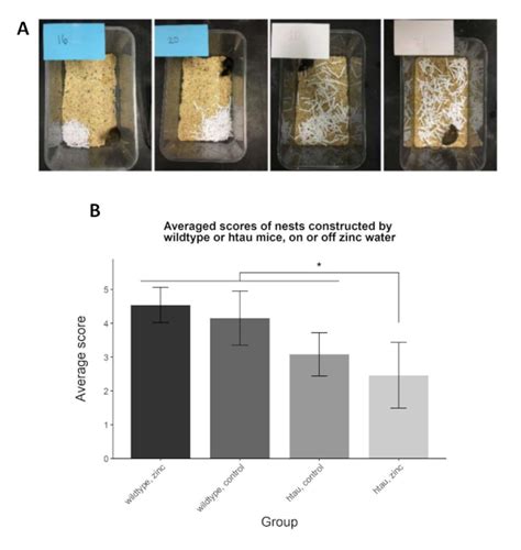 Nest Building Behavior as an Early Indicator of Behavioral Deficits in