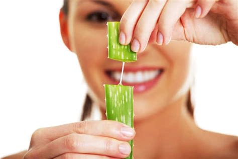 Conoce 4 Beneficios Del Aloe Vera Para El Pelo Los Quieres Conocer