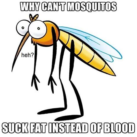 15 Best Mosquito Funny Images On Pinterest Mosquitoes Bugs And Funny