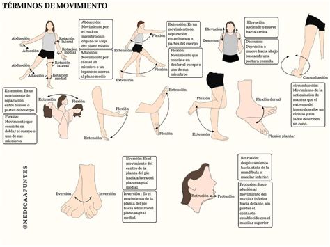 Terminos De Movimiento Medicaapuntes Udocz