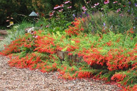 Firescaping Landscaping With Fire Resistant Plants High Country Gardens