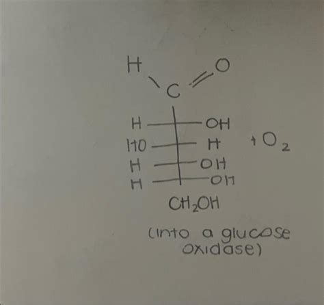 Solved (into a glucose oxidase) | Chegg.com