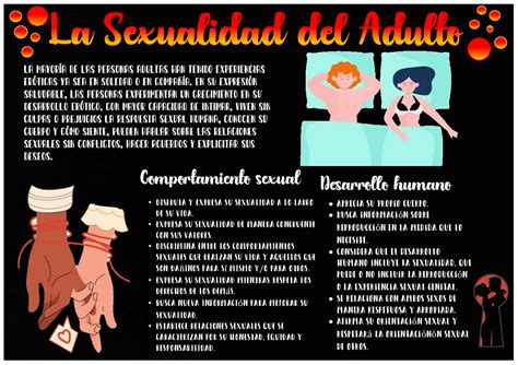 Infografia De Sexualidad Humana En El Adulto Universidad Privada Del Norte } Comportamiento