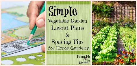 Simple Vegetable Garden Layout Plans And Spacing Tips Farm Fit Living