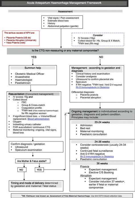 Antepartum Hemorrhage Springerlink