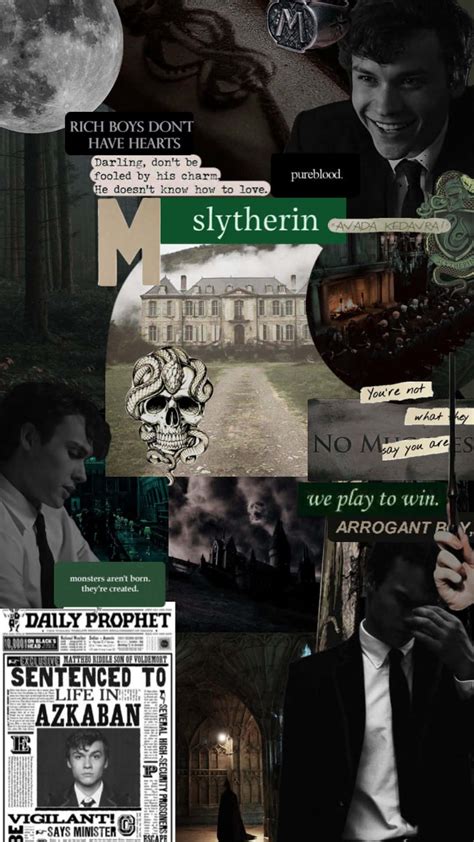 Download Slytherin Collage Dark Aesthetic Wallpaper