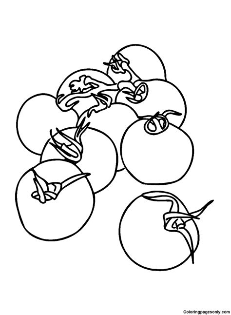 Printable Tomatoes Coloring Page Free Printable Coloring Pages