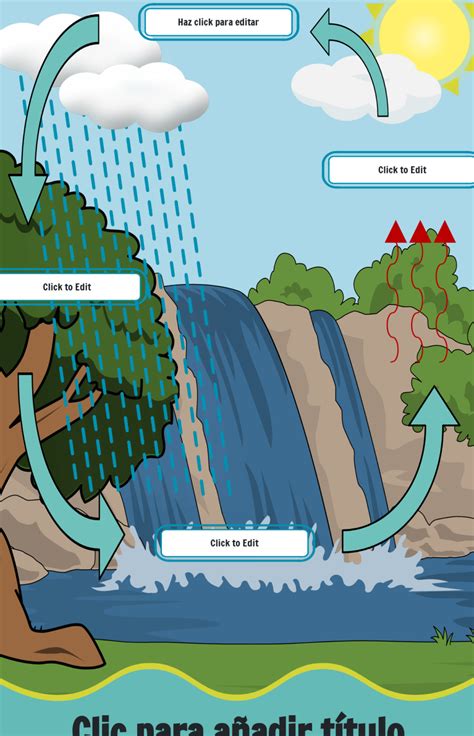 Cartel Del Ciclo Del Agua Descubre Los Secretos De La Naturaleza