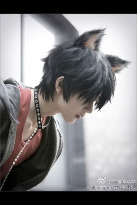 Neko Boy Puurfection Cosplay Anime Cosplay Kawaii Cosplay Boy