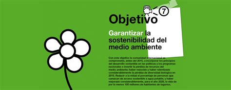 El Medioambiente Y Los Objetivo De Desarrollo Del Milenio