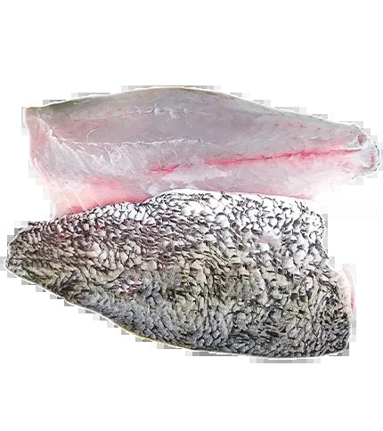 Baramundi Fillet Pack Is Kg Salmon Farm Llc