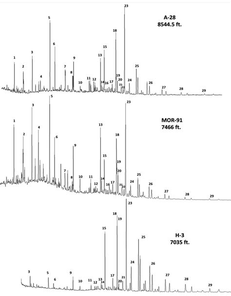 M Z Ion Chromatogram Showing The Distribution Of Terpanes