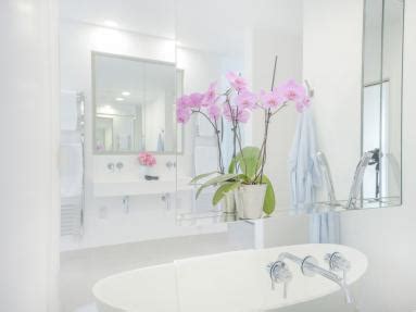 Cottages in Cornwall with hot tub | Hot Tub Holidays in Cornwall