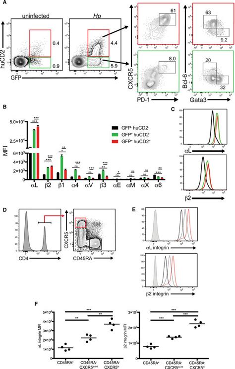 Mouse And Human Tfh Cells Highly Express The Integrin LFA 1 A C