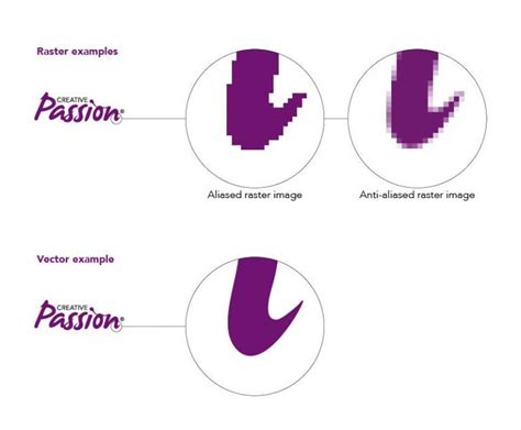 What S The Difference Between Raster And Vector Creative Passion