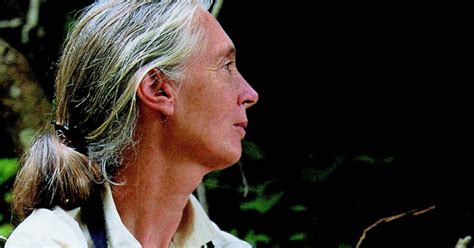 7 Touching Picture Books By Dr Jane Goodall Astra Publishing House