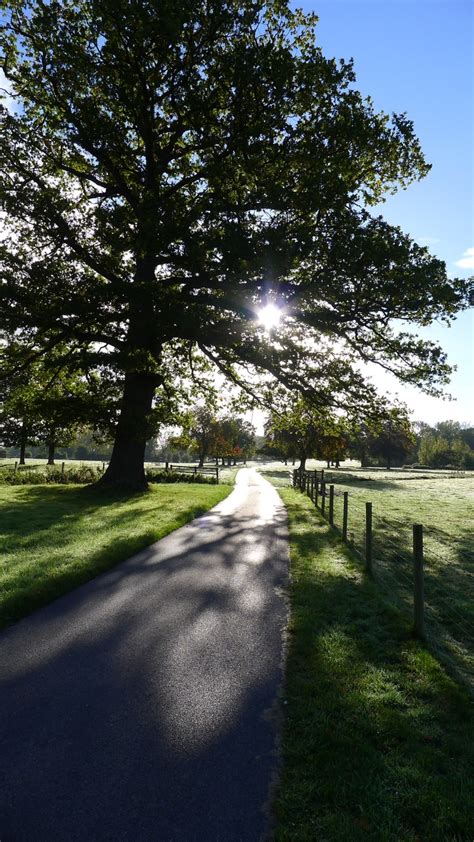 Wasing Park Aldermaston In October This Is The Drive Up To Wasing