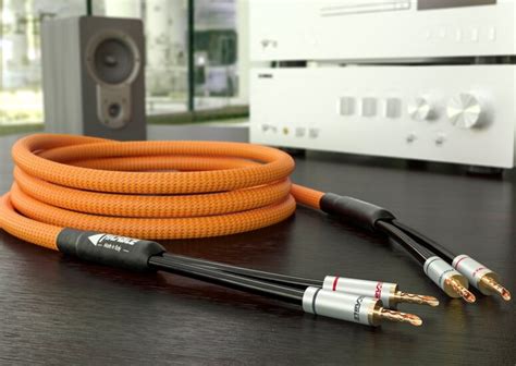 Dedalus Speaker Mkii Hi End Speaker Shielded Audio Cable For