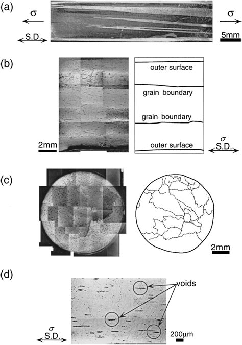 Initial Microstructures Of Columnar Grained Al 2 Mol Cu Alloy A