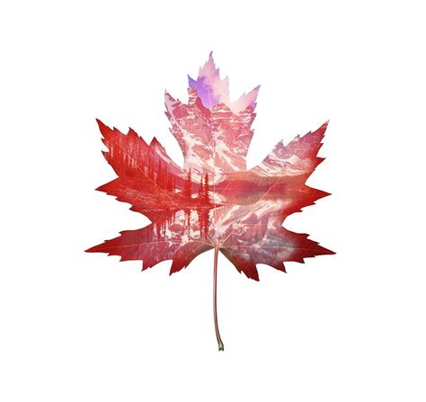 Canada Maple Leaf Digital Art By Deer Devil Designs Fine Art America