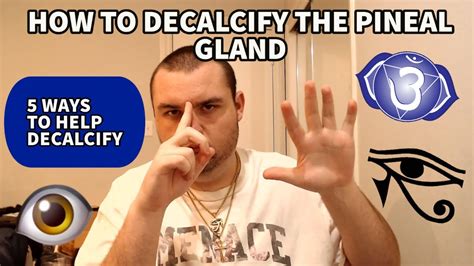 How To Decalcify The Pineal Gland Ways Youtube