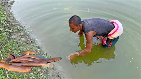 Secret Eel Catching Best Eel Fishing By Hand From Hole Youtube