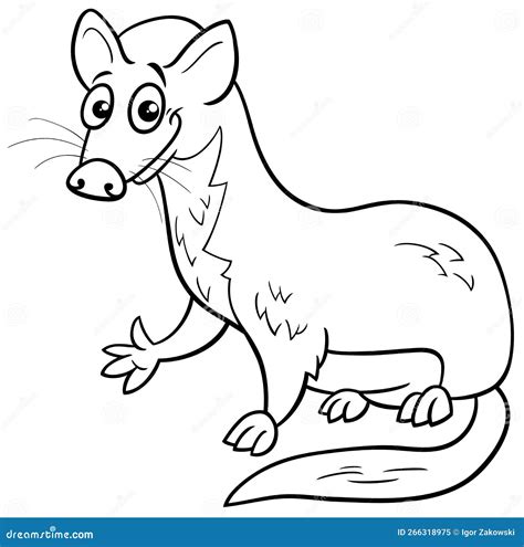 Funny Cartoon Weasel Animal Character Coloring Page Stock Vector - Illustration of book, design ...