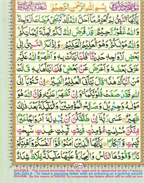 Surah At Tahrim Quran And Surahs