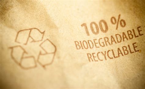 Biodegradable Qu Productos Existen Y Cu L Es Su Significado