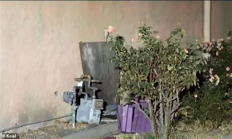 Cops Arrest Naked Man Living In The Crawl Space Of Year Old Woman Daily Mail Online