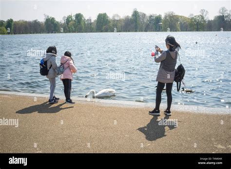 Two Children Feed The Swans And Ducks In Round Pond Hyde Park London