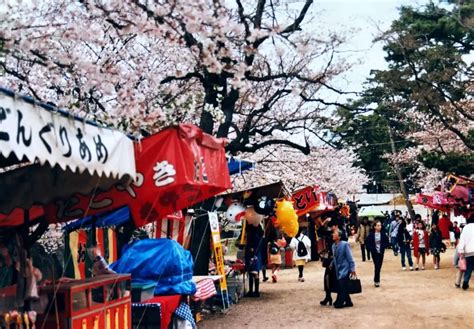 Best Osaka Cherry Blossom Viewing 2022