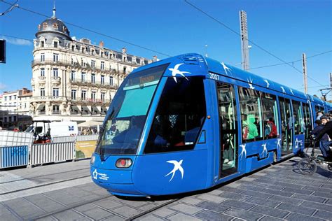 Montpellier Tous Les Transports Deviennent Gratuits Partir De Ce Jeudi