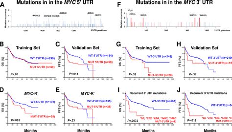 [PDF] MYC mutation profiling and prognostic significance in de novo diffuse large B-cell ...