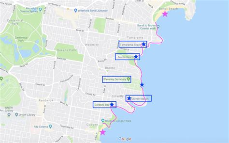 Coogee To Bondi Walk Guide Sydneys Best Coastal Walk