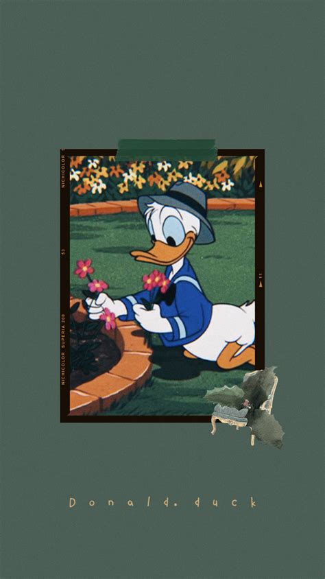 PFP Duck Wallpapers - Wallpaper Cave