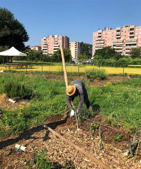 Gli Orti Dellagriparco Solidale Vanno A Ruba