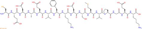 VanilloidReceptorSubtype1 VR1 H2N Cys Glu Asp Ala Glu Val Phe Lys Asp