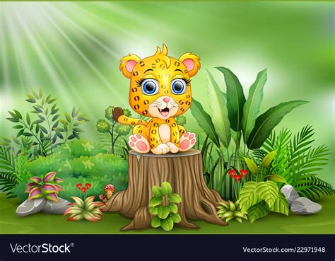 Cartoon A Baby Leopard Sitting On Tree Stump Vector Image