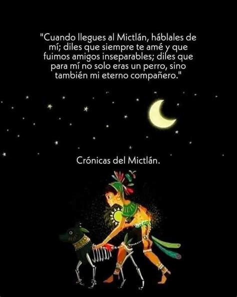 Crónicas del Mictlán Frases bonitas de libros Frases bonitas Frases