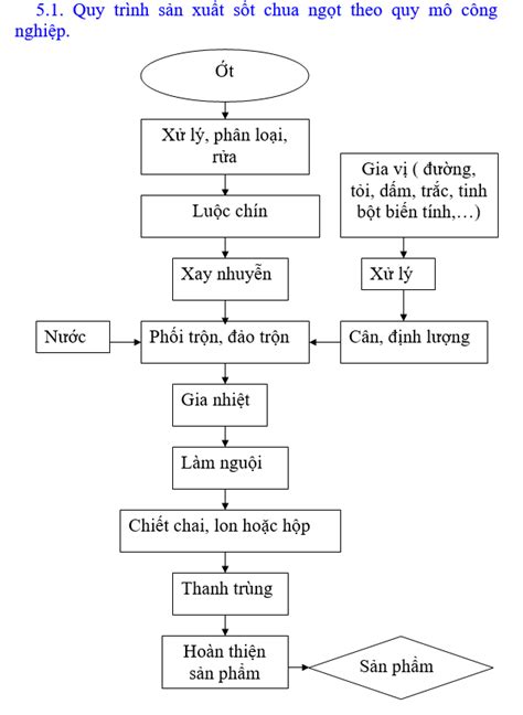 H Ng D N C Ch V S Quy Tr Nh S N Xu T Y V Chi Ti T