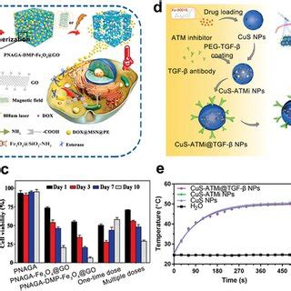 The Schematic Illustration Of Photothermal Materials With The