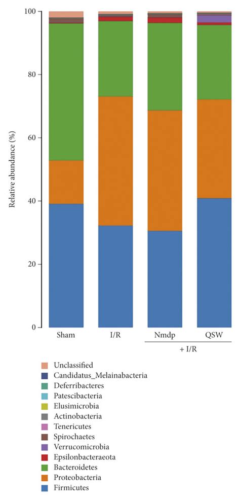 The Relative Abundance Of Gut Microbiota A Phylum Level B Genus