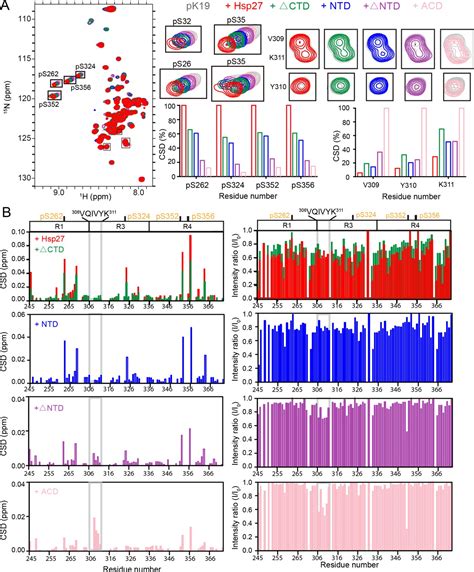 Specific Binding Of Hsp27 And Phosphorylated Tau Mitigates Abnormal Tau