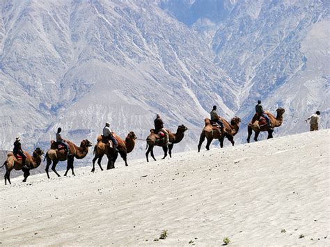 More Areas of Ladakh Declared as Wildlife Sanctuary - India's Endangered