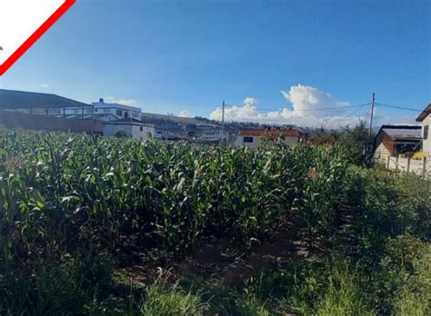 Terreno En Venta En Ambato Properati