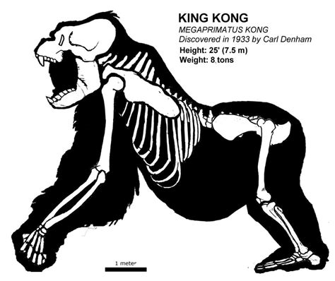 King Kong Skeletal Megaprimatus Kong By Jes86 On Deviantart