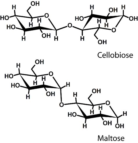 Glycosidic Linkage Between Two Different Saccharide Units Schematic